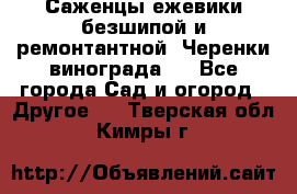 Саженцы ежевики безшипой и ремонтантной. Черенки винограда . - Все города Сад и огород » Другое   . Тверская обл.,Кимры г.